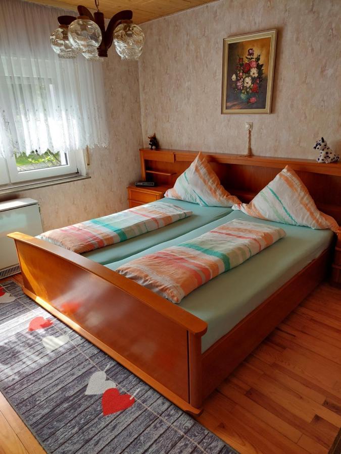 Urige Gemuetliche Ferienwohnung 64 M2 In Dielheim, Naehe Heidelberg Eksteriør bilde