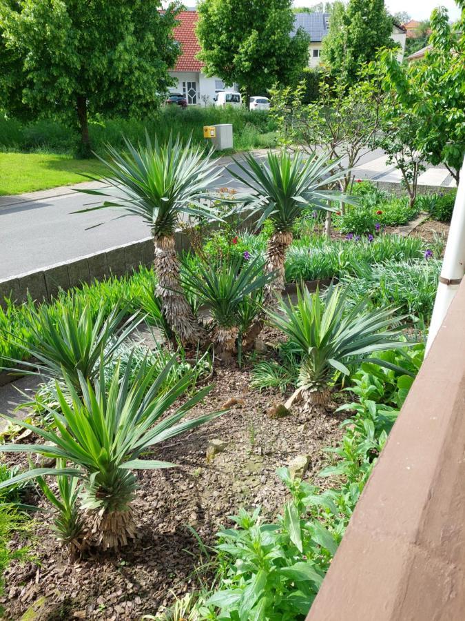 Urige Gemuetliche Ferienwohnung 64 M2 In Dielheim, Naehe Heidelberg Eksteriør bilde