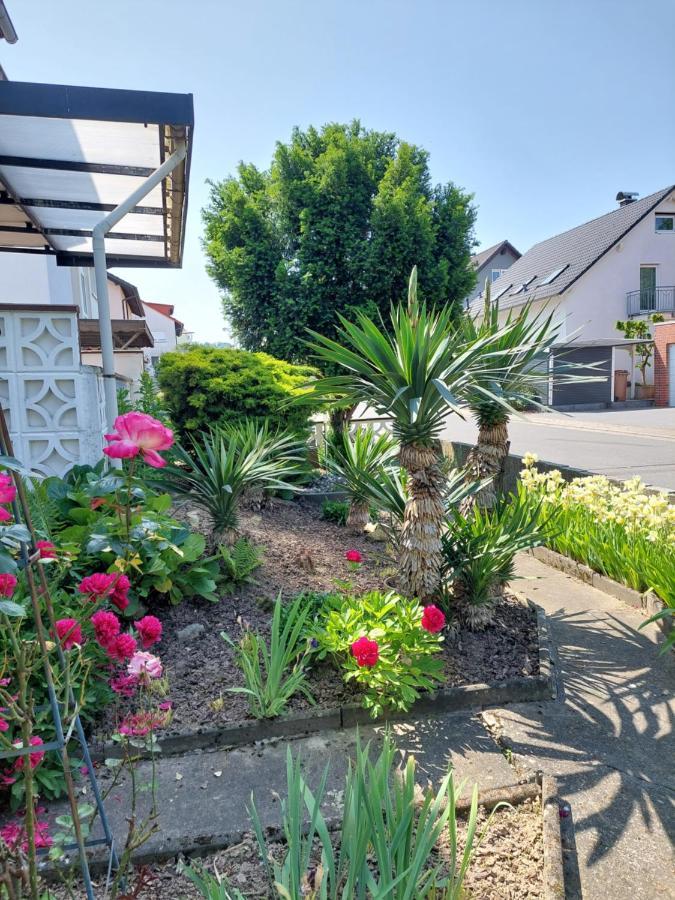 Urige Gemuetliche Ferienwohnung 64 M2 In Dielheim, Naehe Heidelberg Eksteriør bilde